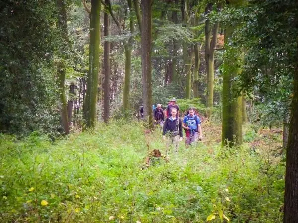 Gruppe wandert auf schmalem Pfad durch dichten Wald mit hohem Gras