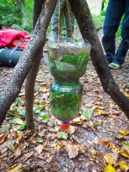 Hängende Wasserfilterkonstruktion aus Plastikflasche und Pflanzenmaterial zwischen zwei Ästen