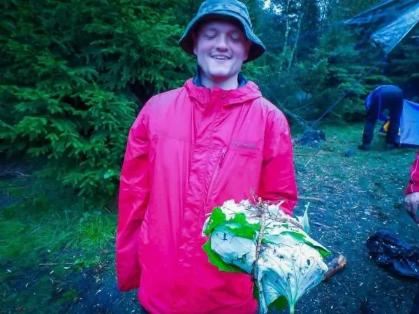 Junge hält eine Ansammlung von Blättern in der Hand