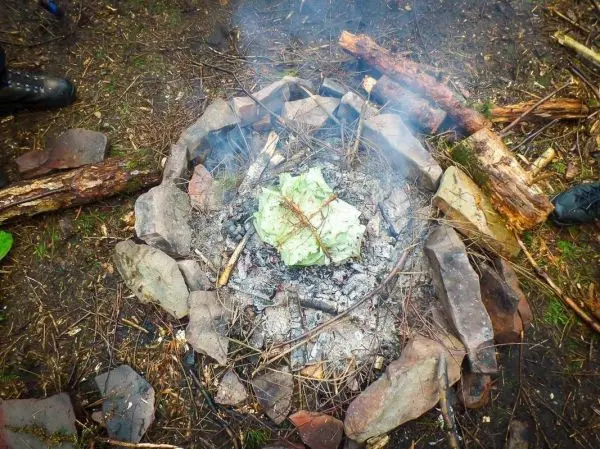 Kleine Flamme glimmt zwischen Steinen, umwickelt von Blättern und Ästen