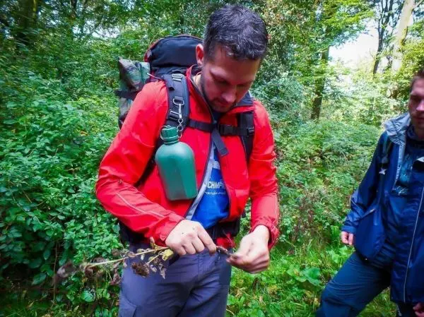 Mann entfernt Rinde von einem Zweig im Wald, Rucksack und Wasserflasche sichtbar