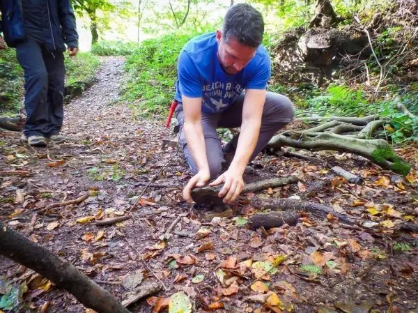 Mann kniet auf dem Boden und bearbeitet einen Holzstock im Wald