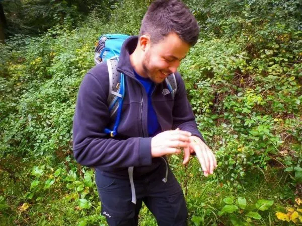 Mann mit Rucksack untersucht seine Hand im dichten Grün