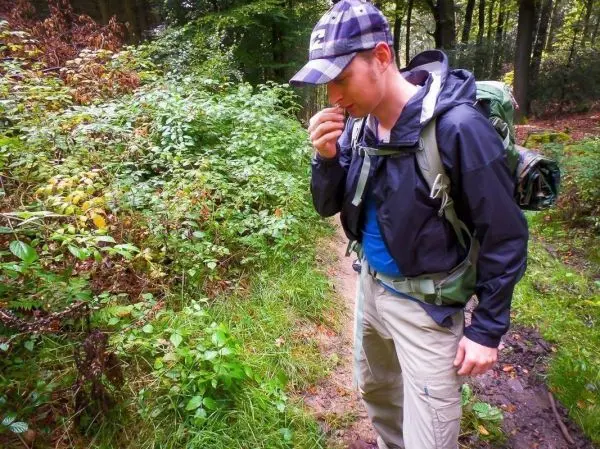 Person untersucht Pflanzen am Wegesrand im Wald