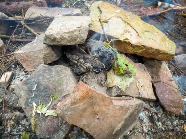 Steine um eine verkohlte Stelle im Wald angeordnet