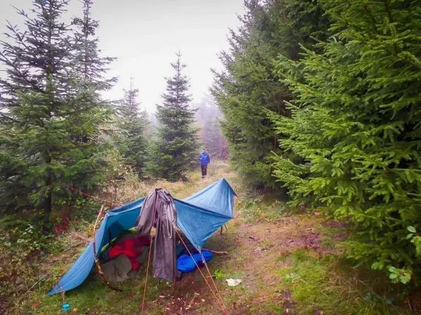 Tarp-Notunterkunft aus blauer Plane steht zwischen Tannenbäumen, Person geht den Weg entlang