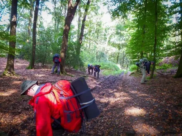 Wanderer mit Rucksäcken beugen sich über den Waldboden zwischen Bäumen