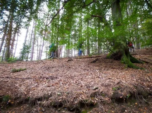 Zwei Personen bewegen sich durch einen bewaldeten Hang mit Laub und Nadelbäumen
