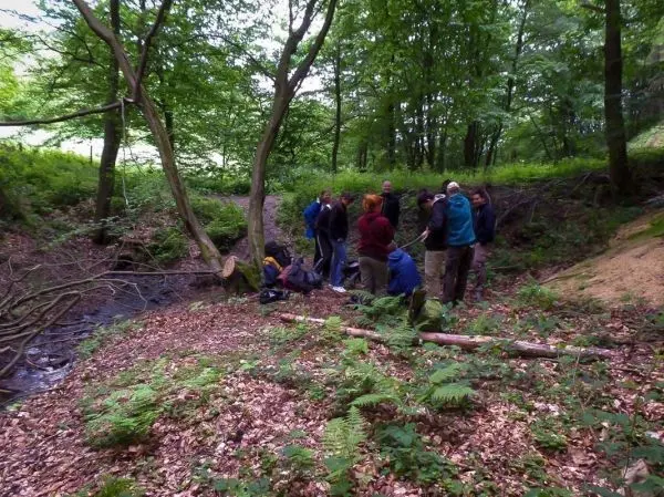 Gruppe steht um einen Rucksack in einem bewaldeten Gebiet mit Laub und Farnen