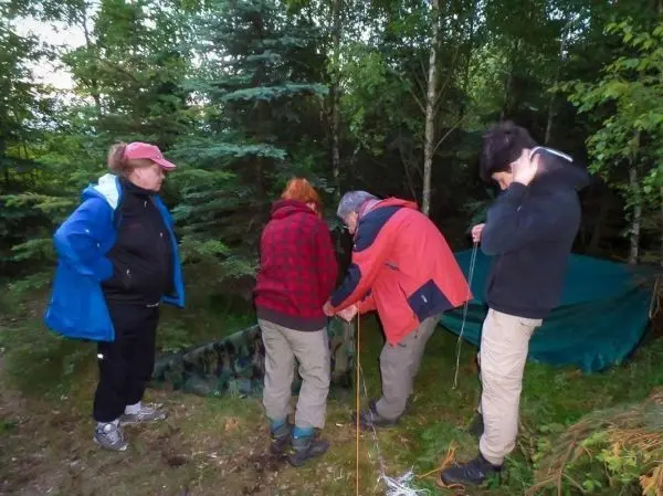 Gruppierung von vier Personen beim Aufbau einer Tarp-Notunterkunft im Wald