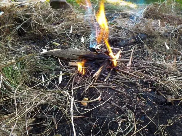 Kleine Flamme brennt auf einem Zundernest aus trockenem Gras und Ästen