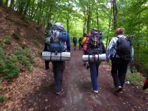 Personen gehen mit Rucksäcken einen Waldweg entlang