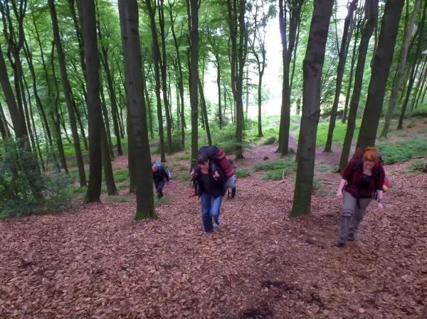 Wandernde Personen steigen einen bewaldeten Hang mit Laub und Bäumen hinauf