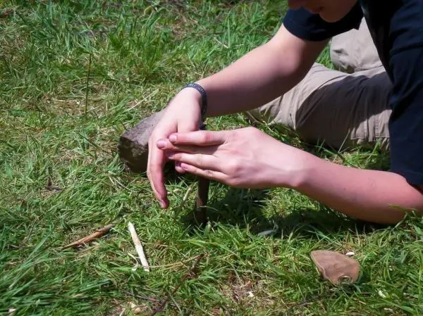 Zwei Hände drücken einen Stock in den Boden zur Herstellung eines Zundernests