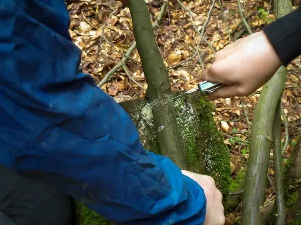 Zwei Hände schneiden mit einem Messer einen Ast in einem Waldgebiet