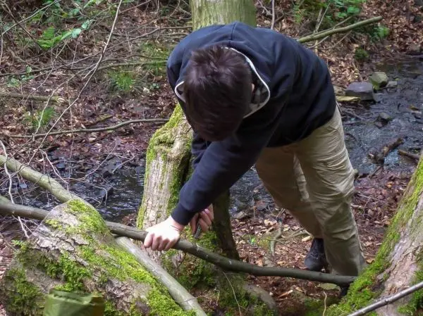Zweig wird an einem Baumstamm bearbeitet, um ihn zu kürzen