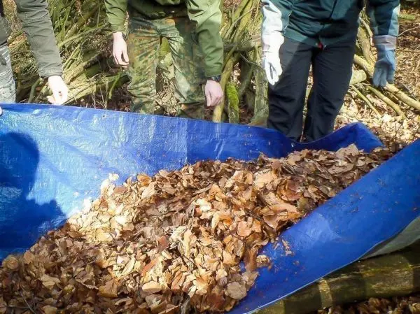 Blaues Tarp mit Laub wird von mehreren Personen gehalten