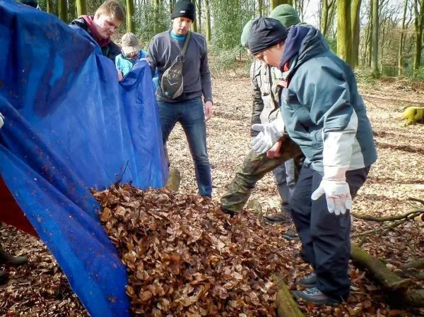 Blaues Tarp wird über einen Haufen Laub gezogen, mehrere Personen helfen dabei