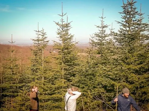 Drei Personen stehen zwischen hohen Tannenbäumen und betrachten die Umgebung