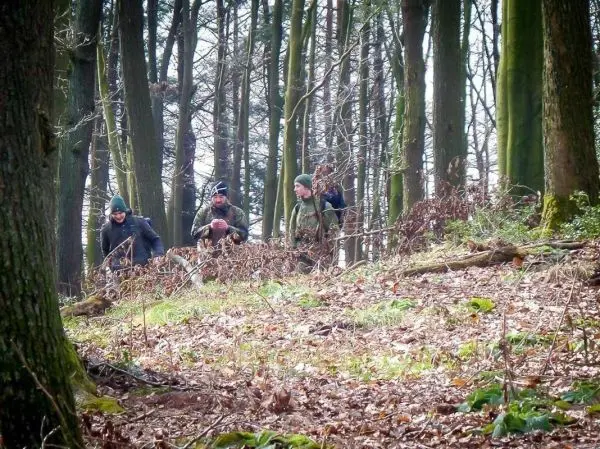 Gruppe bewegt sich durch einen Wald mit Laub und Bäumen