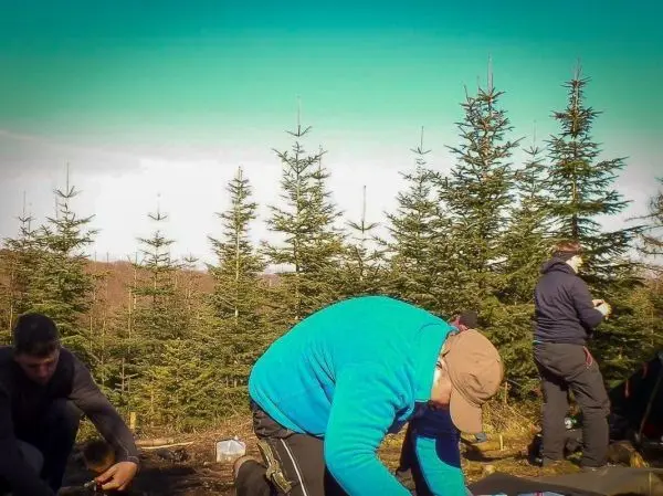 Gruppenmitglieder arbeiten am Boden zwischen Nadelbäumen und bereiten Materialien vor