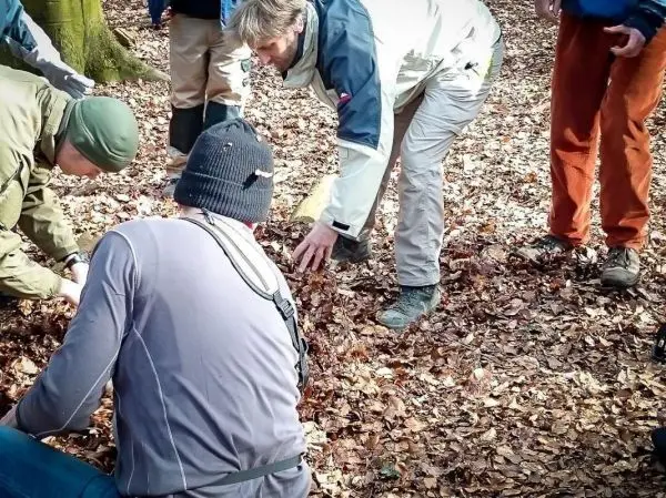 Gruppenteilnehmer beugen sich über den Boden und untersuchen Laub