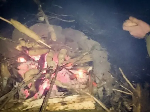 Kleine Flamme glimmt zwischen Holzstücken, Hand hält etwas über dem Feuer