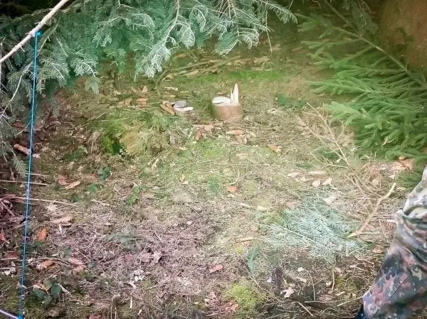 Kleine Holzstruktur auf dem Boden, umgeben von Moos und Laub