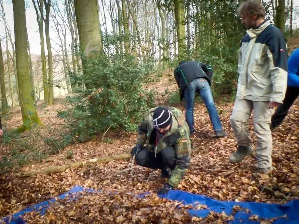Mann entfernt Laub von einer blauen Plane im Wald