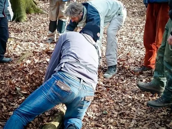 Person beugt sich über einen Baumstamm im Laub