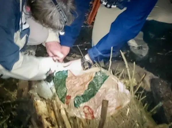 Person untersucht einen Gegenstand auf dem Boden