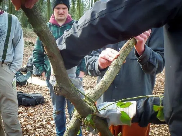 Personen bauen eine selbstgebaute Seilbrücke aus Ästen