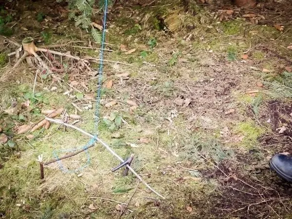 Selbstgebaute Falle aus Ästen und Schnur im Wald