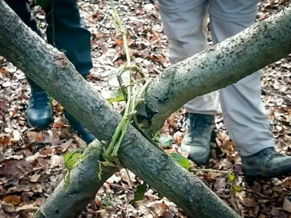 Selbstgebaute Konstruktion aus zwei gekreuzten Ästen, mit Pflanzenmaterial verbunden