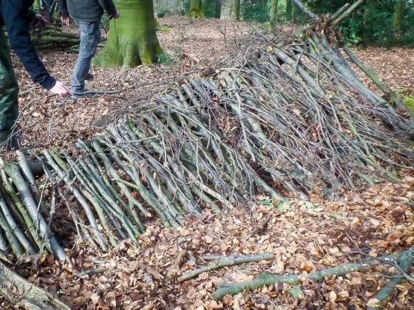 Selbstgebaute Laubhütte aus Ästen und Zweigen auf dem Boden