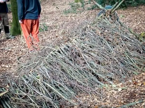 Selbstgebaute Tarp-Notunterkunft aus Ästen im Wald