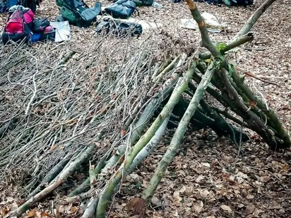 Selbstgebaute Tarp-Notunterkunft aus Ästen und Zweigen im Laub