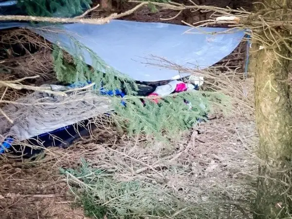 Tarp-Notunterkunft unter Bäumen, umgeben von Ästen und Laub