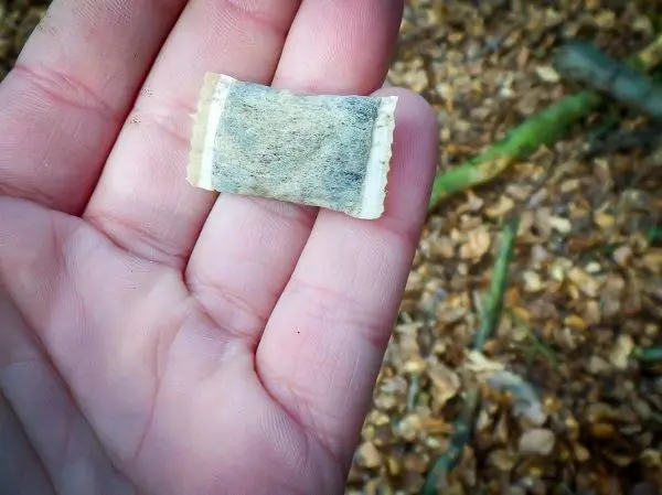 Teebeutel in Hand gehalten, im Hintergrund Laub und Äste sichtbar