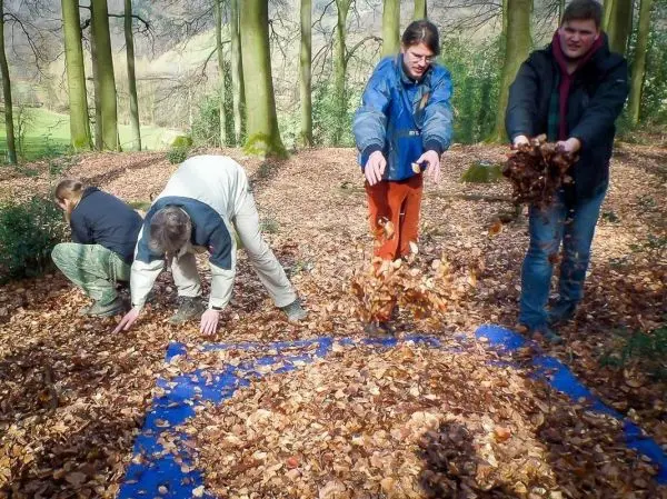 Vier Personen schaufeln Laub auf eine blaue Plane im Wald