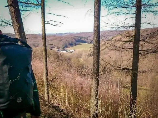 Wanderer mit Rucksack blickt auf eine bewaldete Landschaft