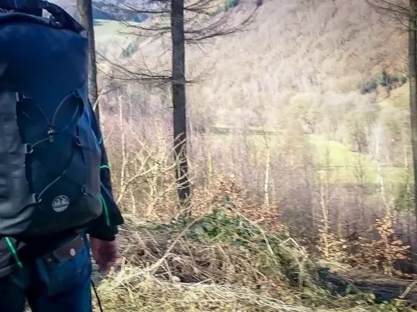 Wanderer mit Rucksack geht durch einen Wald mit kahlen Bäumen