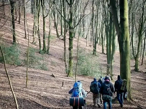 Wanderer mit Rucksäcken gehen durch einen Wald mit Laub und Bäumen
