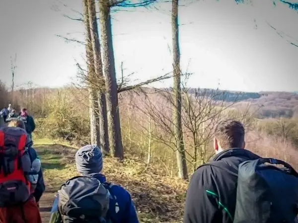 Wandernde Personen mit Rucksäcken auf einem Pfad zwischen Bäumen