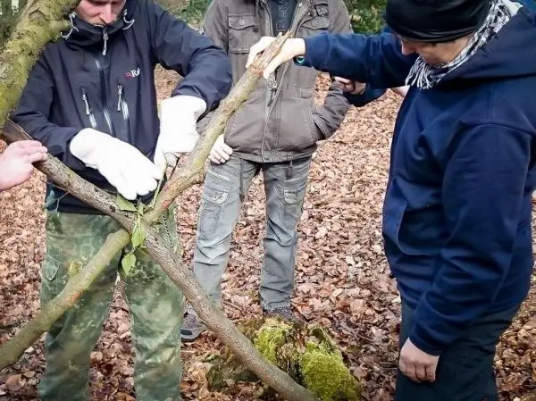 Zwei Personen binden Äste zu einer selbstgebauten Konstruktion im Wald
