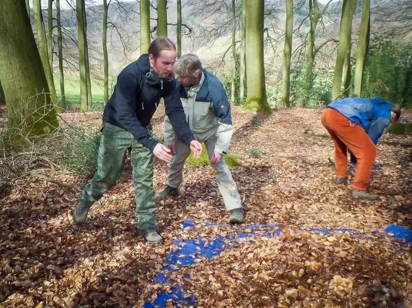 Zwei Personen legen Blätter auf eine blaue Fläche im Wald