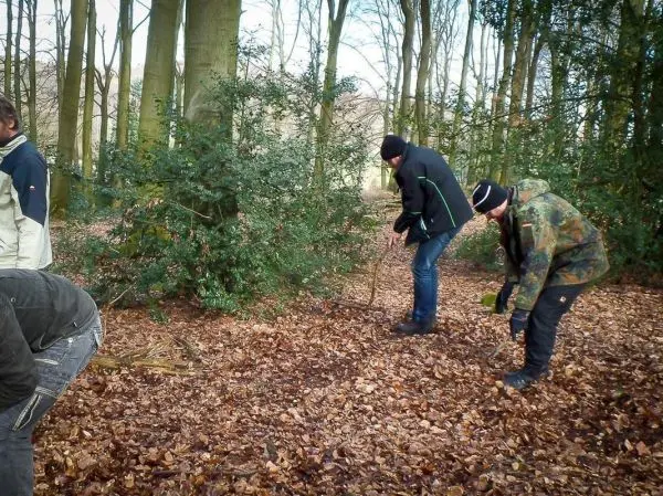 Zwei Personen sammeln Äste und Laub im Wald