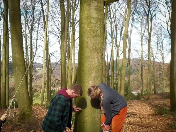 Zwei Personen untersuchen einen Baumstamm im Wald, eine Seilquerung ist sichtbar