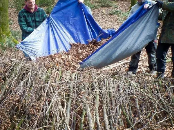 Zwei Personen ziehen eine blaue Plane über einen Haufen mit Laub und Ästen