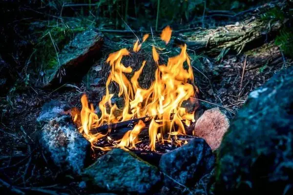 Kleine Flamme zwischen Steinen in einem Waldgebiet
